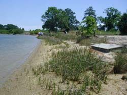 Marsh enhancement